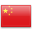 Chinese Version